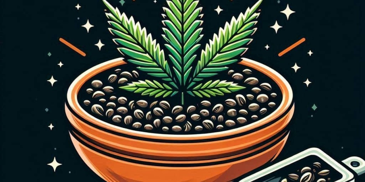 The Jack Herer Strain: A Perfect Choice for Tinctures